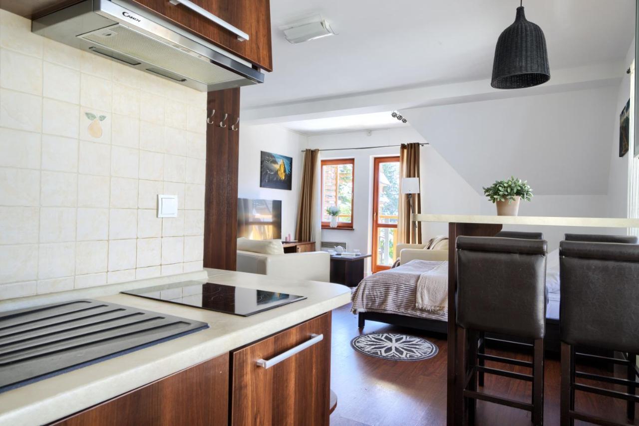 Visitzakopane - Pod Jodlami Apartment Екстер'єр фото